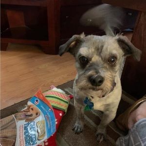 Meet your Posher, Griffin